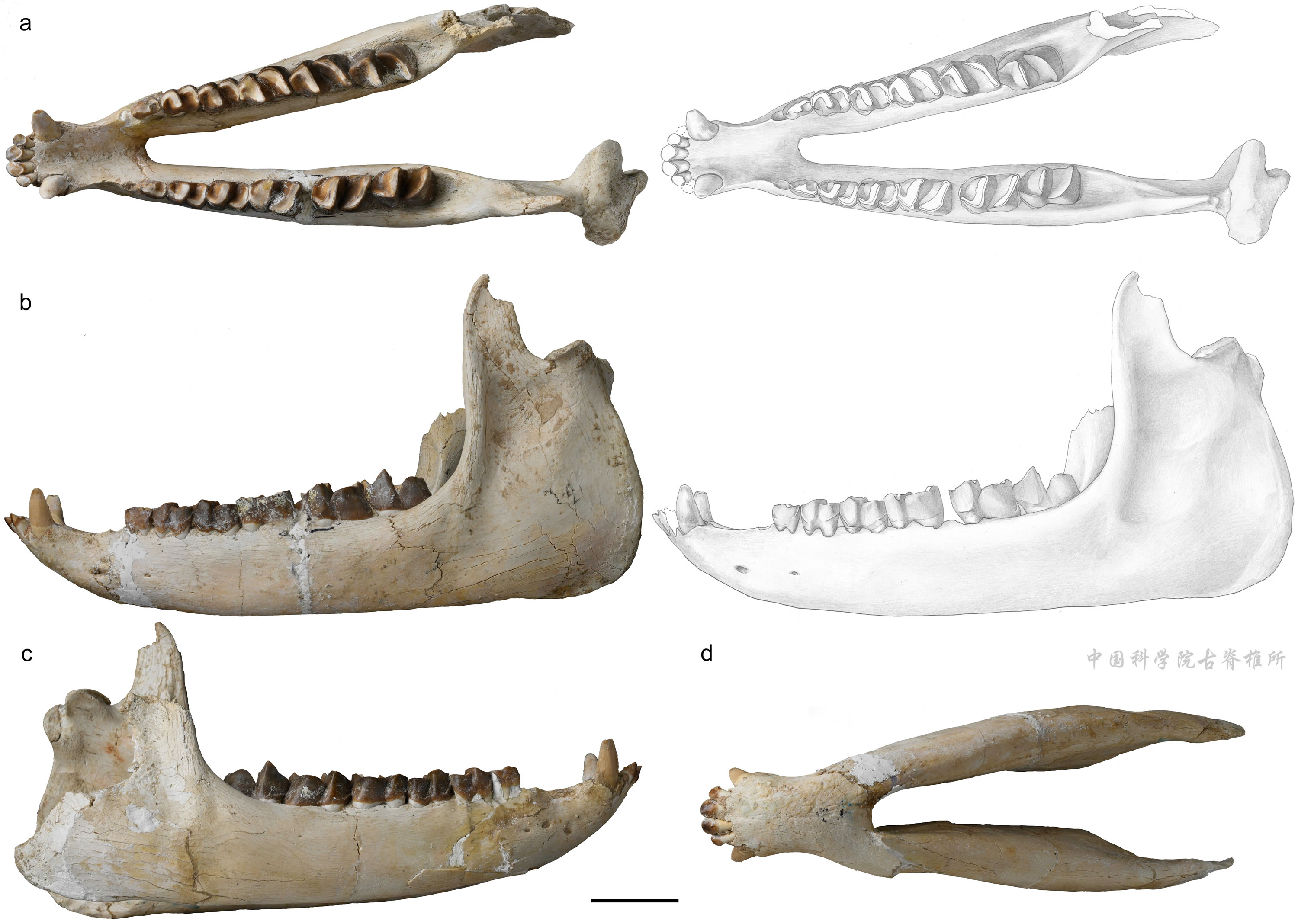 ������Ϭ��ϵͳ������ϵ