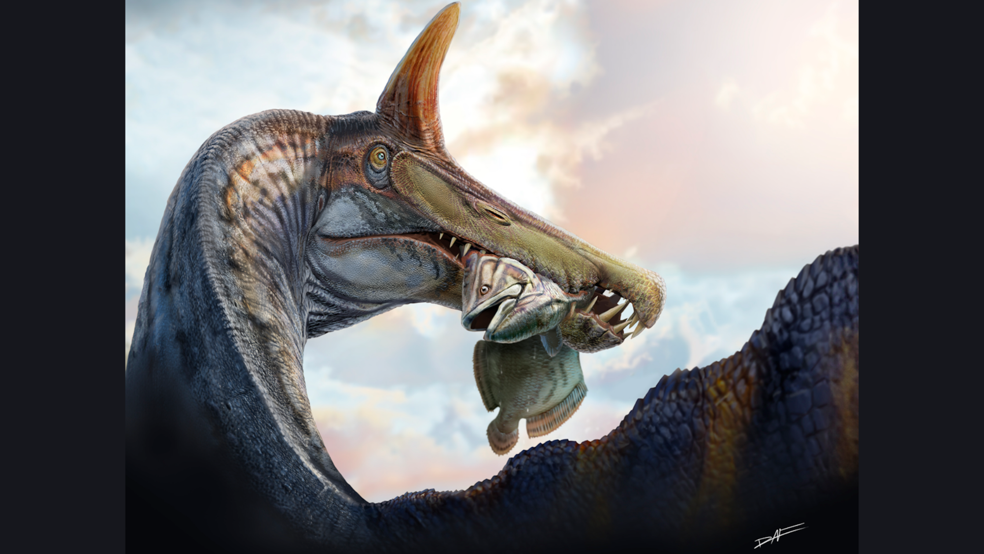 ��������ɳĮ���ֵ��¿�����һֻ�нǵġ������ء�