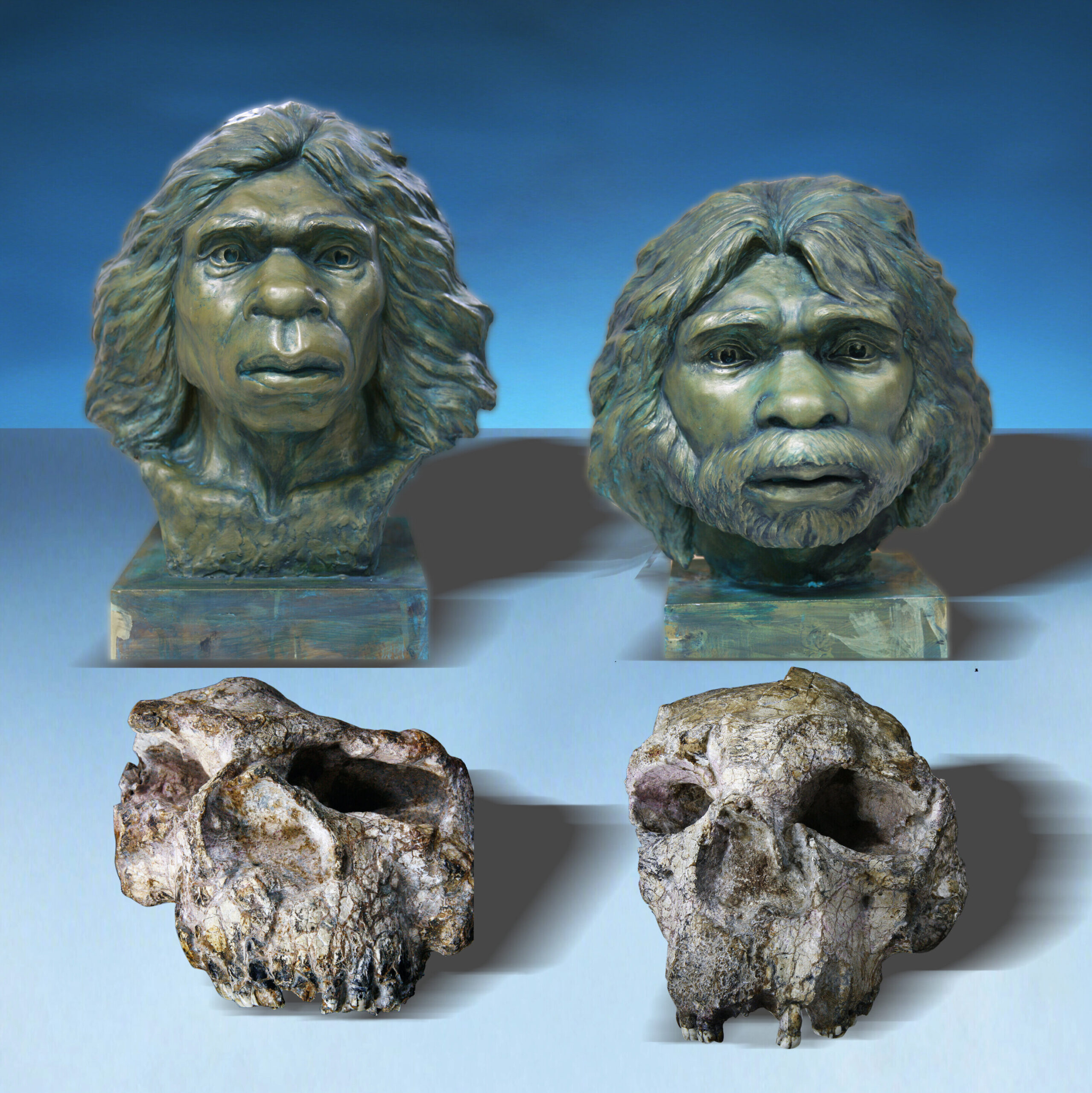 科学家发现我们的祖先比预测早了60万年抵达亚洲