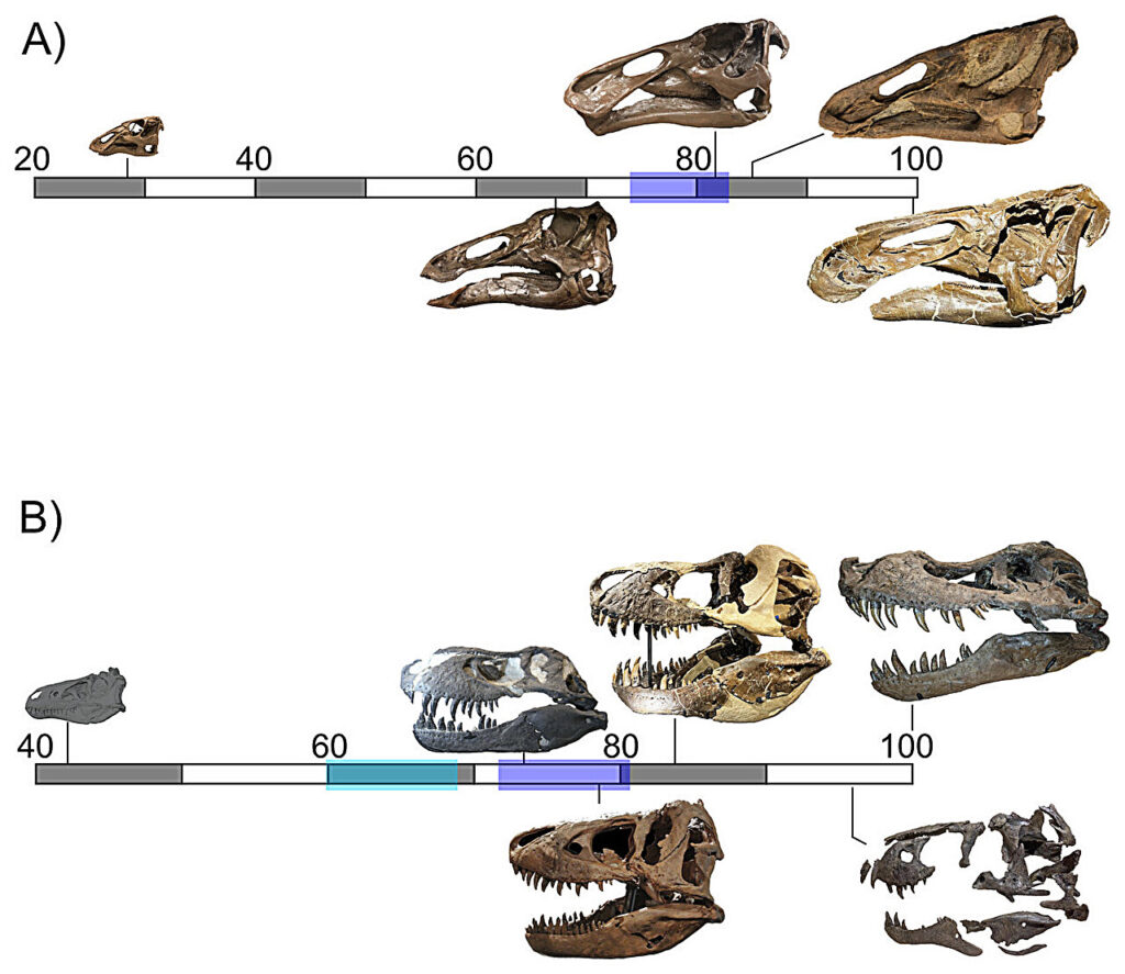 һ������6600������ʷ��ıɱ�������ڱ�һ�Ŷ����⿪