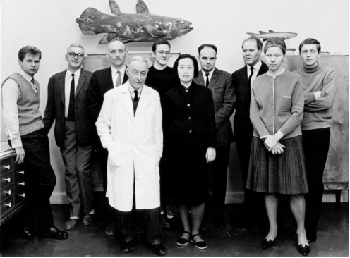 ����������½����Թż�׵��������Ժʿ����