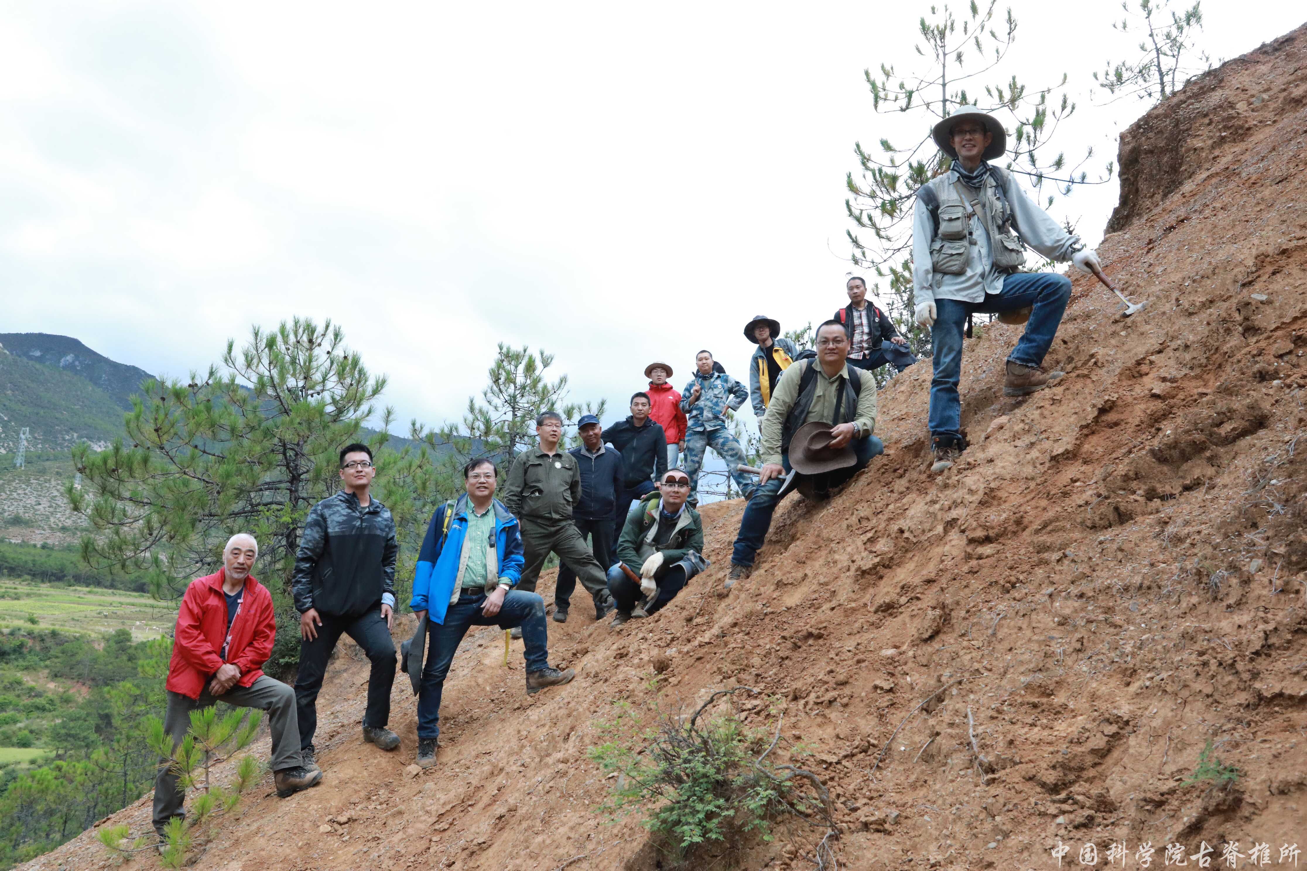 滇西北香格里拉叶卡早更新世哺乳动物化石研究揭秘其古环境与生物地理格局