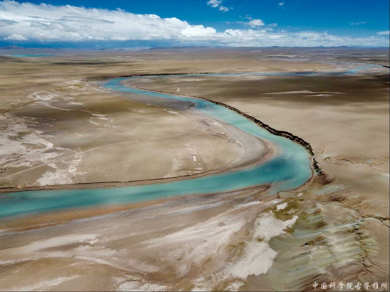 古鱼新知:羌塘高原新近纪之初鱼类多样性高于现代