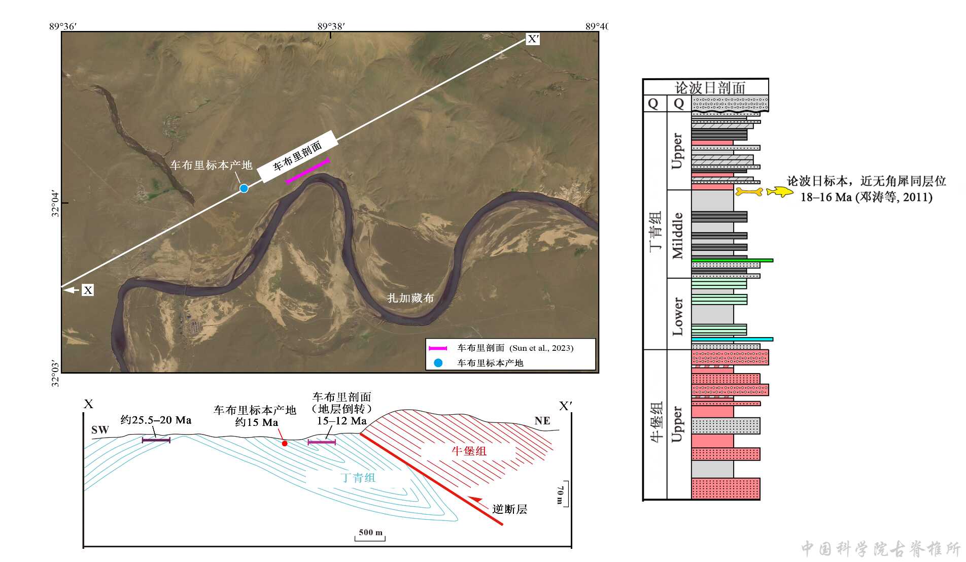 古鱼新知:羌塘高原新近纪之初鱼类多样性高于现代