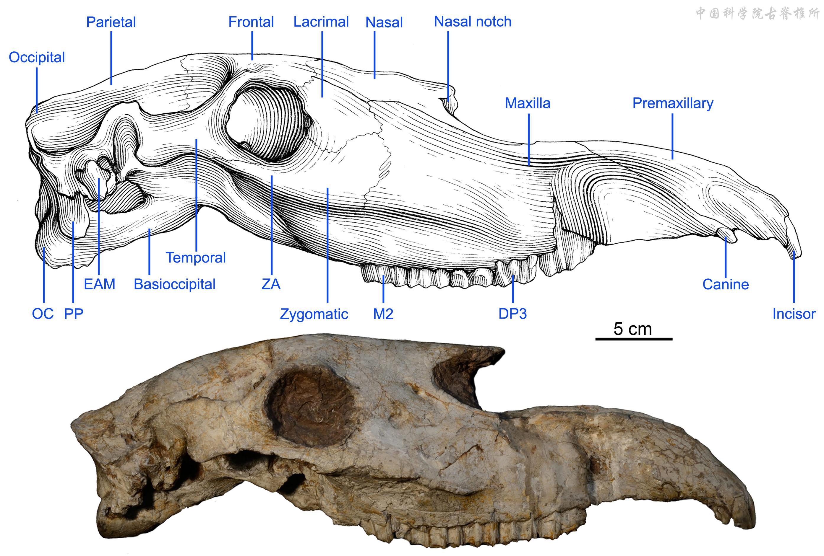 ������ֺ���ڶ��ǲ�ԭ�ϵĹ��ܴ�������Ӧ����