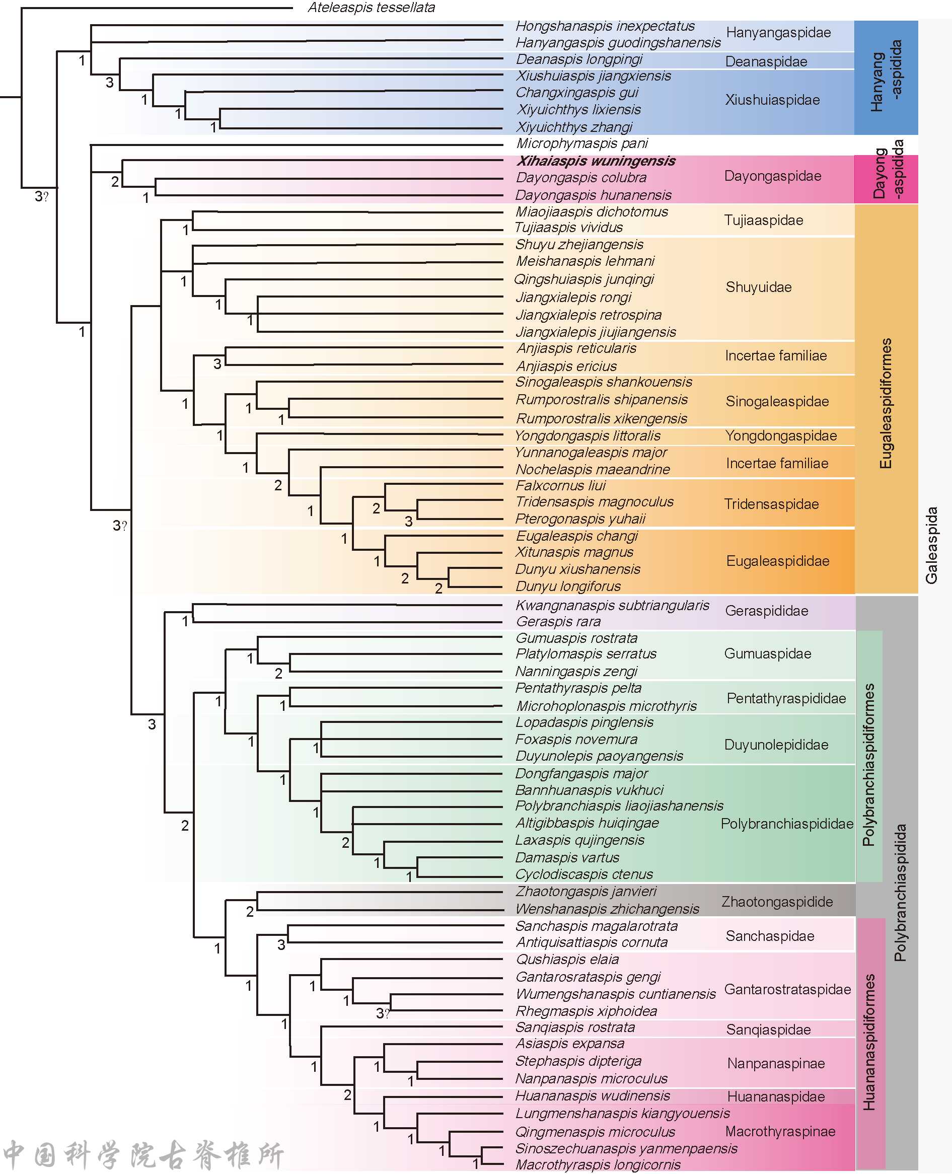 ���������㣺����Ѫ����ʯΪ4.38����ǰ�Ĺŵ�������������֤