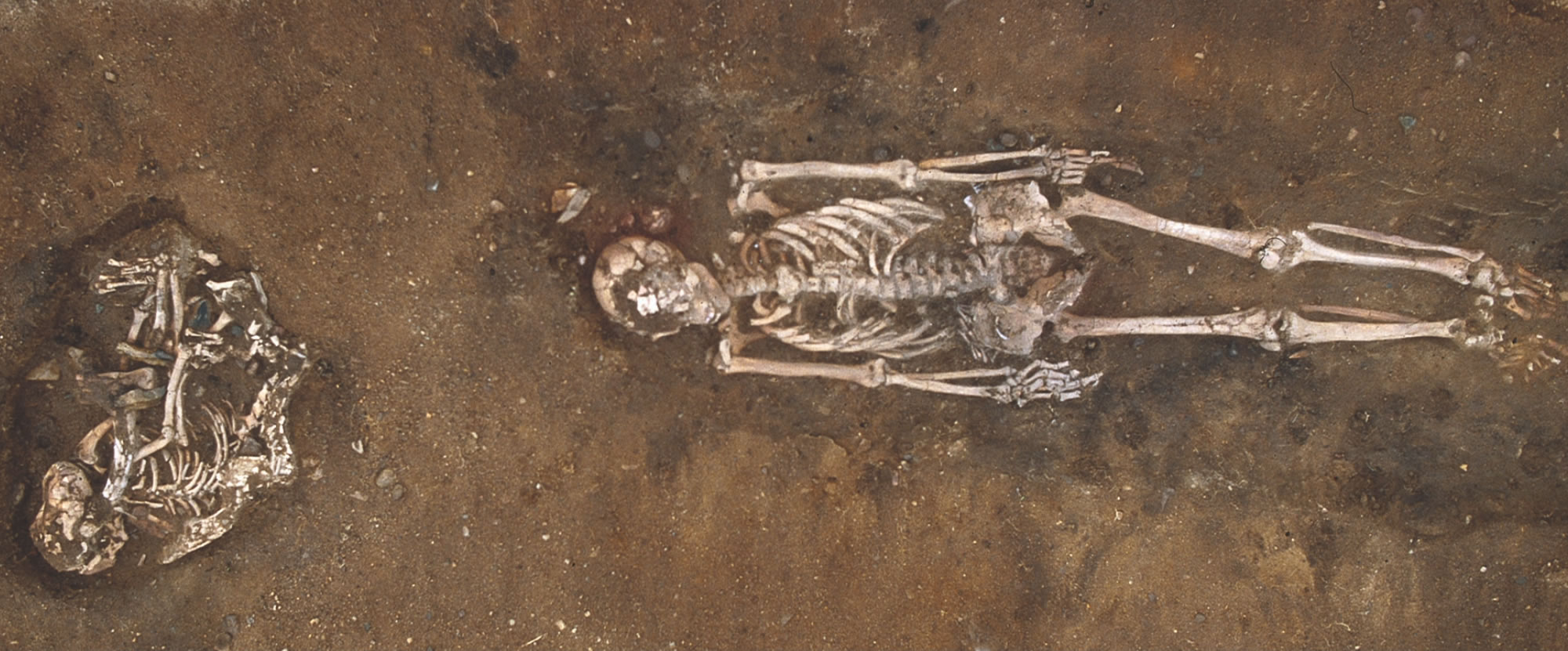 ŷ��������Ȯ�ĳ���ʱ������Ǵ�ǰ��Ϊ��Ҫ��3000����