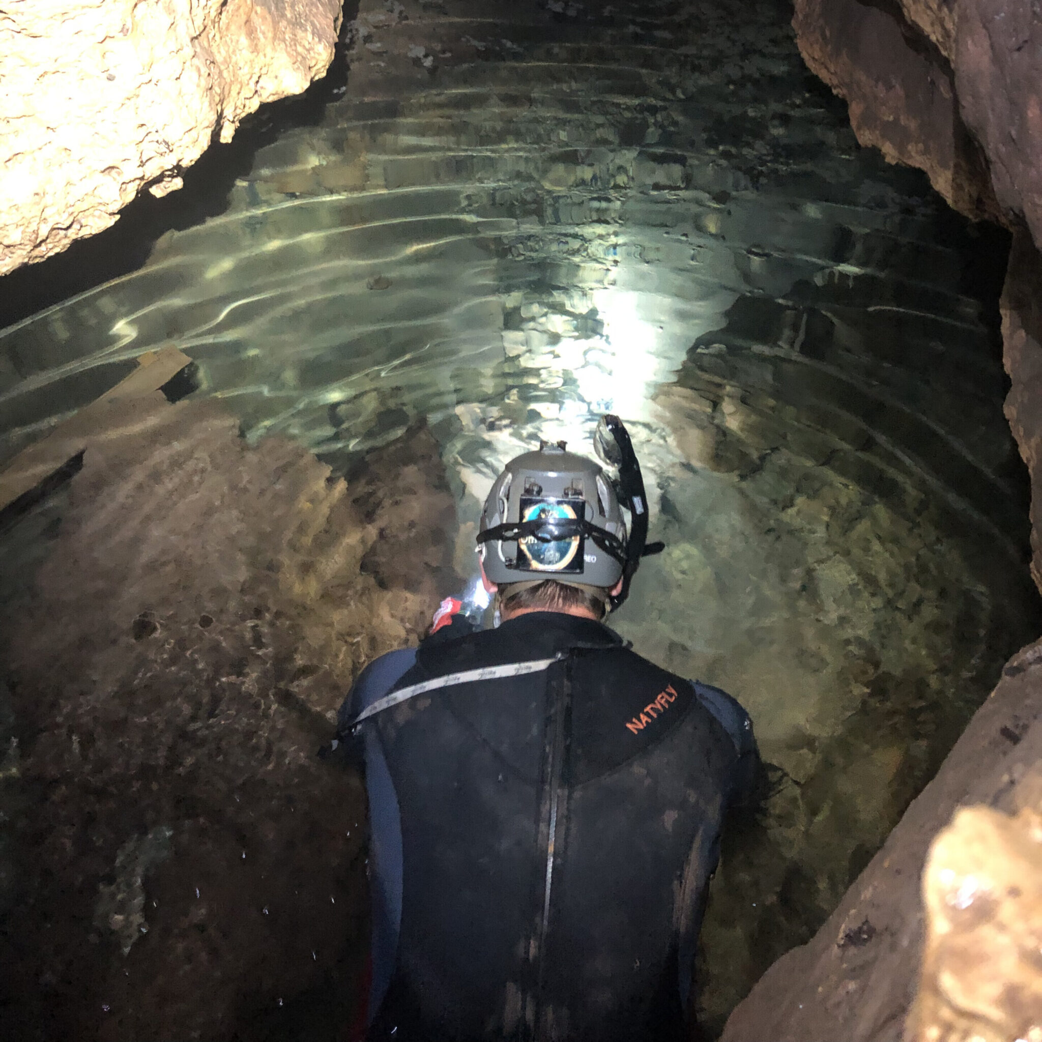 ʨ�Ӵ�С�ľ������������ڹŵ¿���˹ï�ܵ�ɭ�����ε�