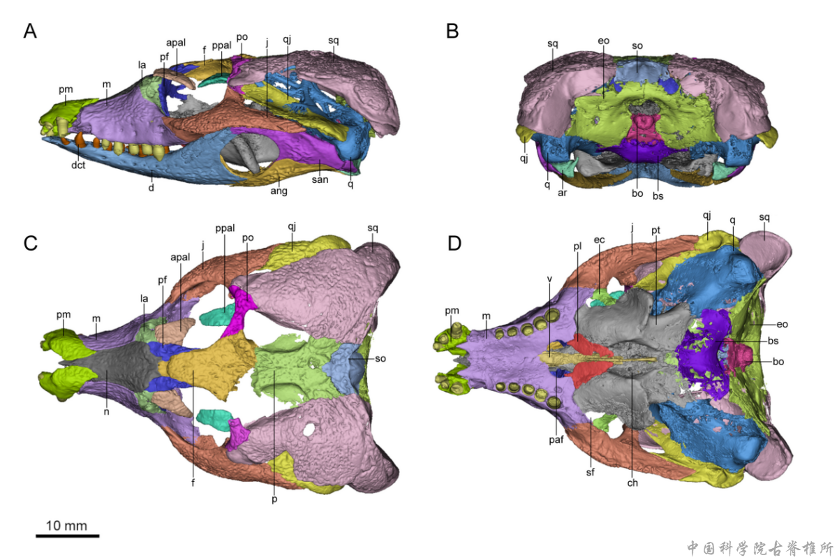 �½�׼���������ɽƶ�����²����о���չ
