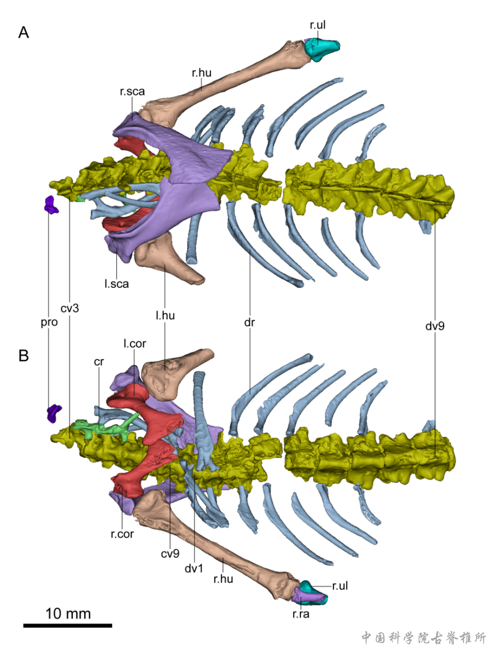 �½�׼���������ɽƶ�����²����о���չ