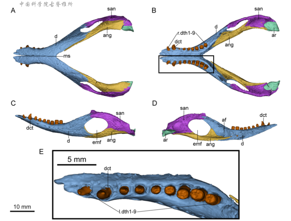 �½�׼���������ɽƶ�����²����о���չ