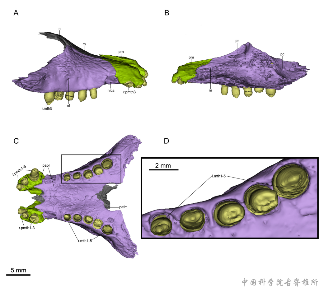 �½�׼���������ɽƶ�����²����о���չ