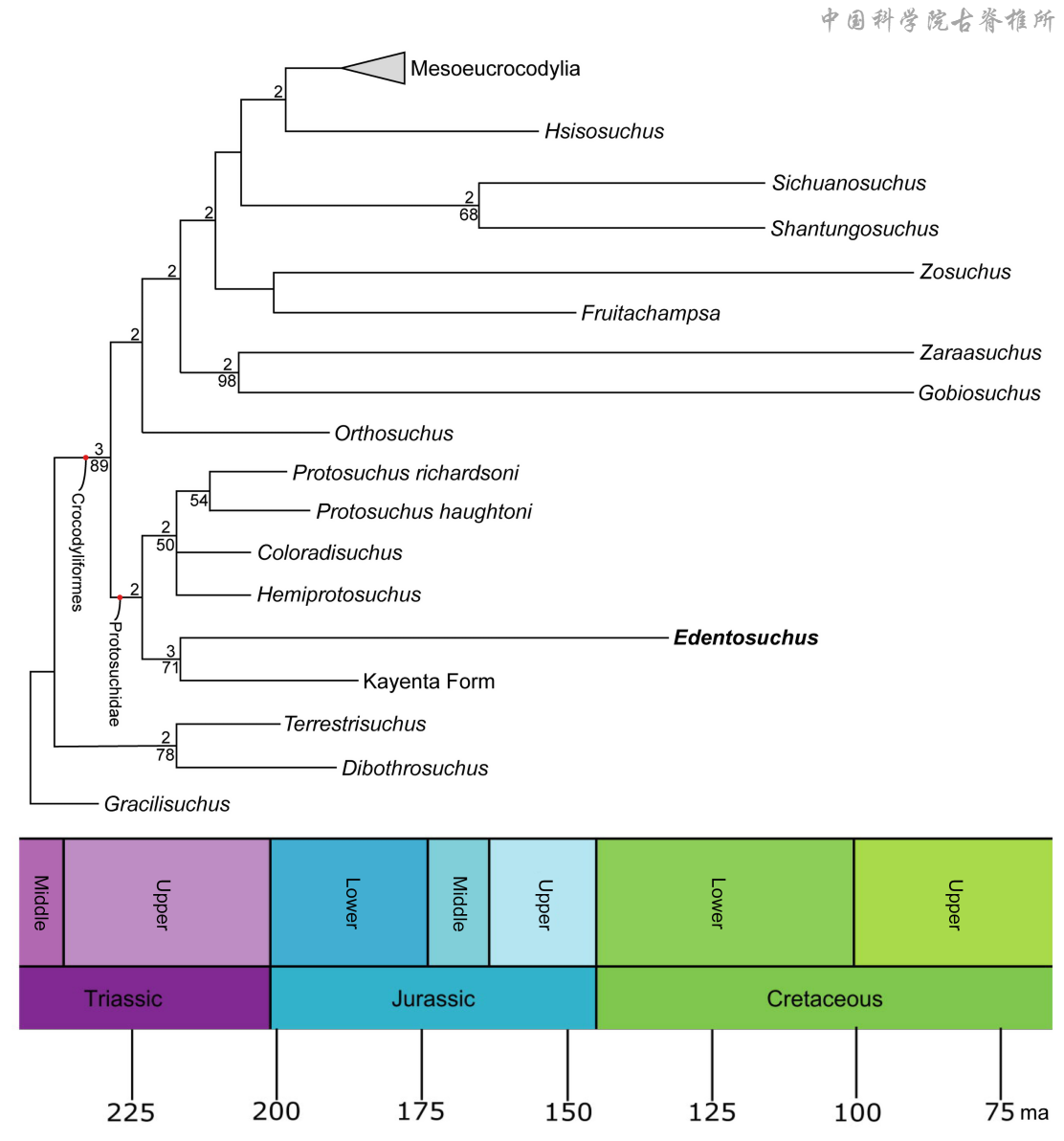 �½�׼���������ɽƶ�����²����о���չ