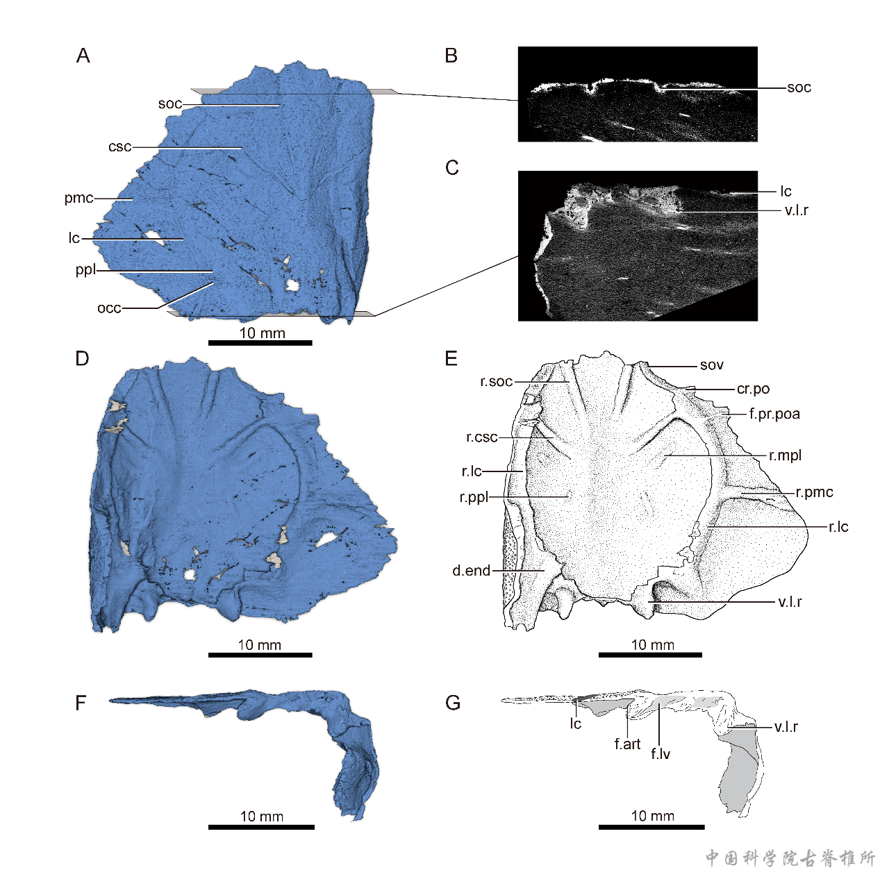 ��ͷ�̽��㣺����ڽڼ�����հ׵��ݻ�����