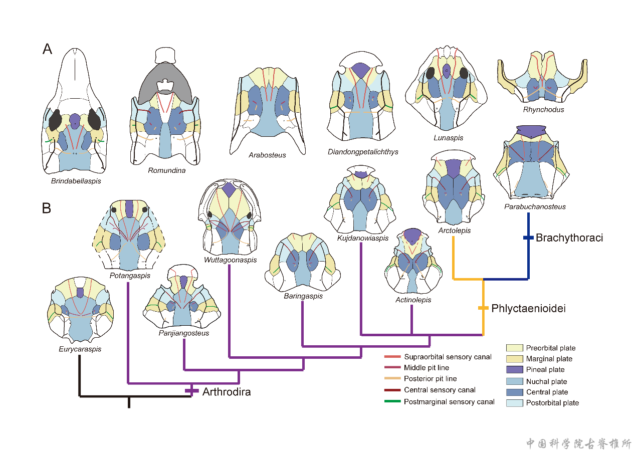 ��ͷ�̽��㣺����ڽڼ�����հ׵��ݻ�����