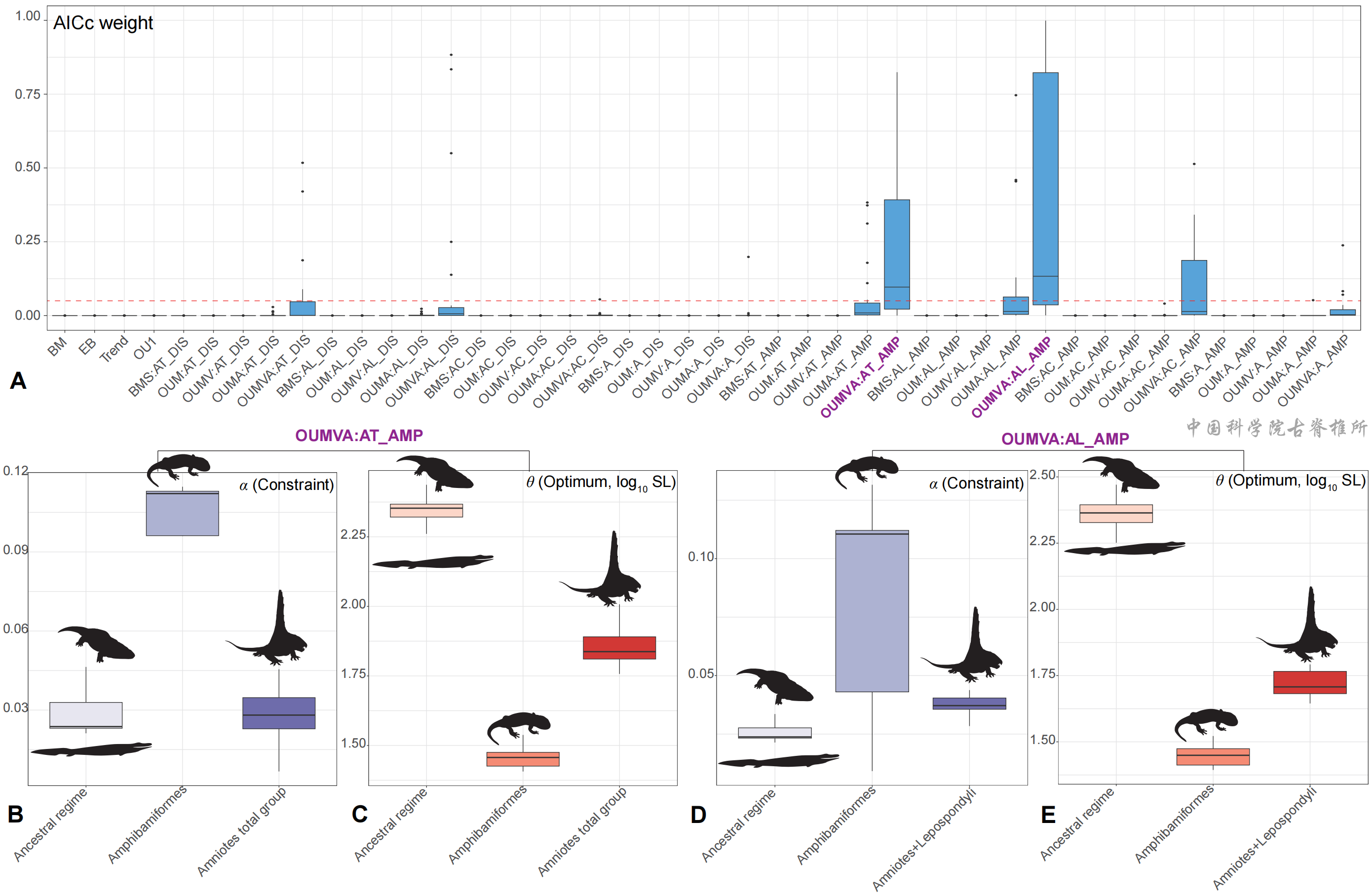 呼吸功能演化革新驱动四足动物冠群生态位分化格局