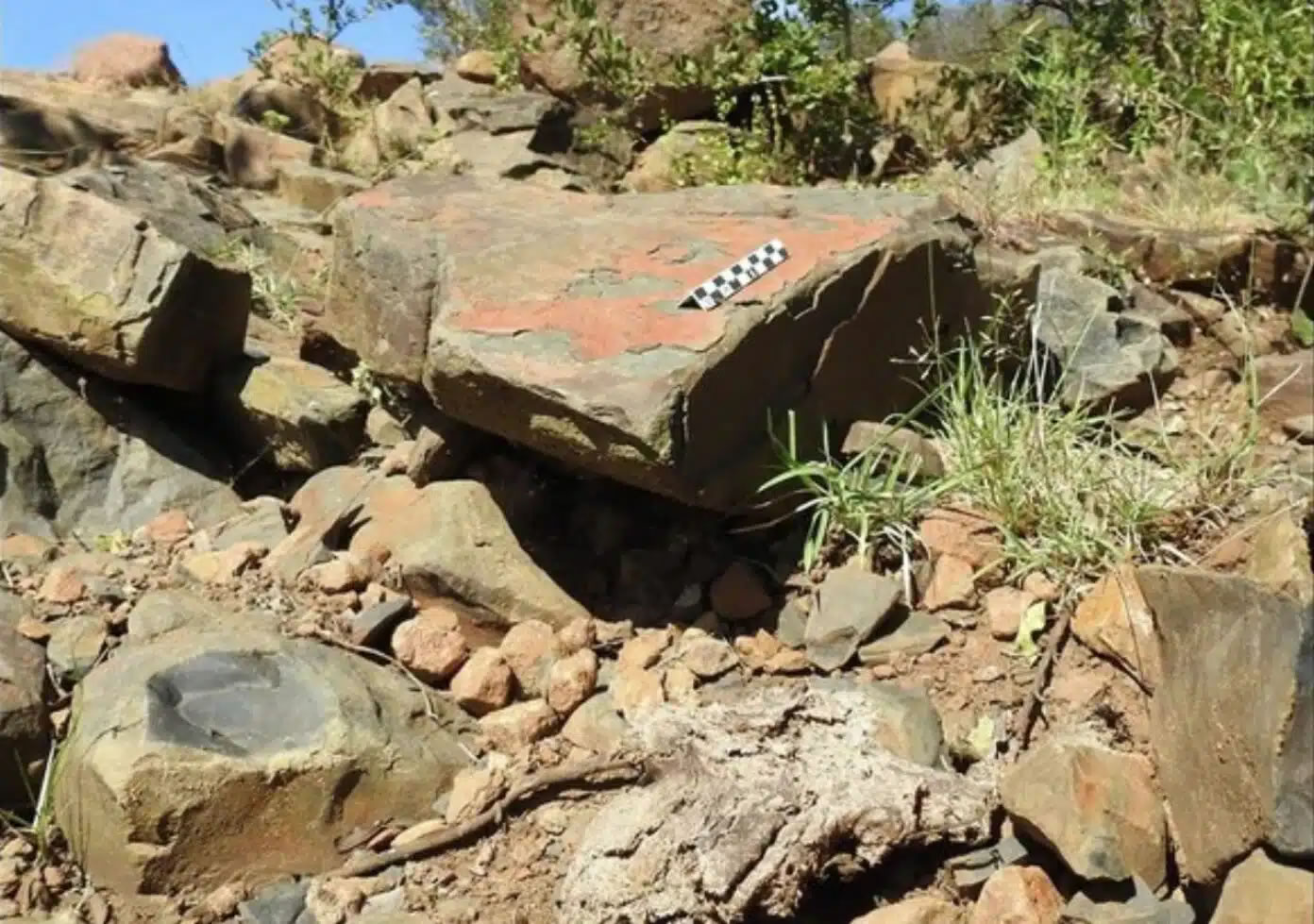 22万年前,古代人类经营着一座巨大的石头工厂