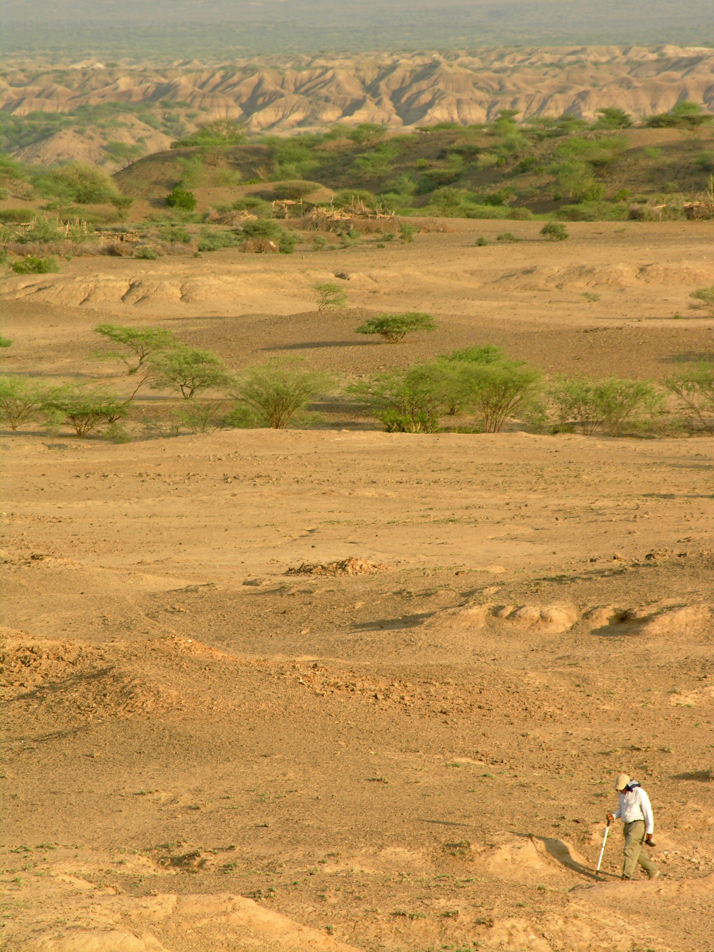 ���������ǵİ������ѹ�������һ��10����ǰ��������