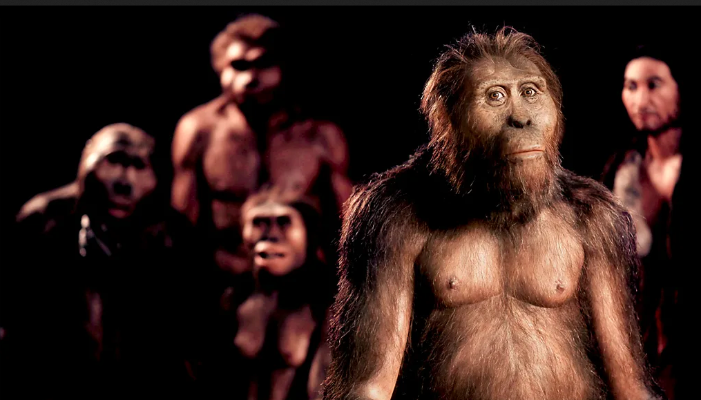 Ӣ���㲥��˾����Զ������ʧ������ԣ�����ʯ��ʱ���ĶԻ���