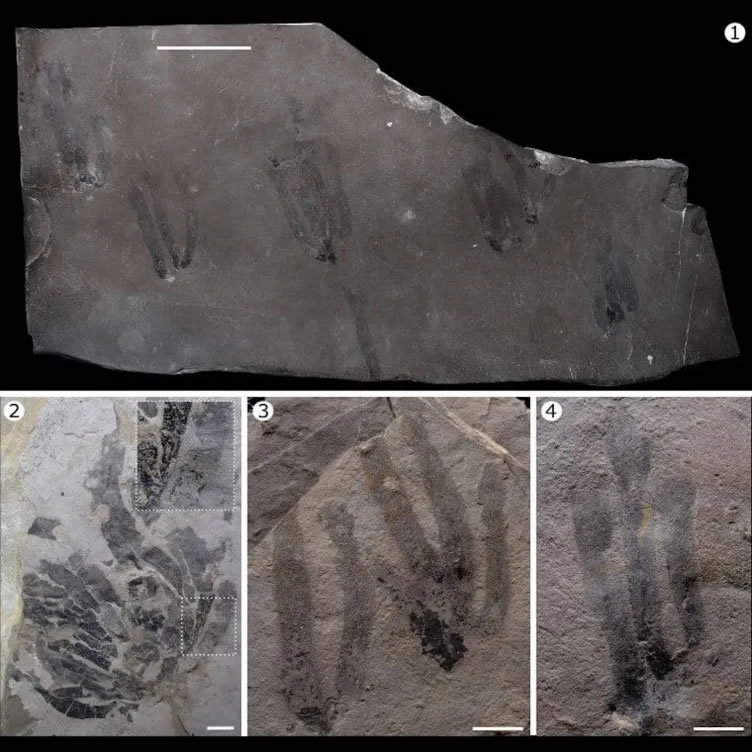 4.5����ǰ��ˮĸ���ȿ�������һ��������ϴ���ܵ���