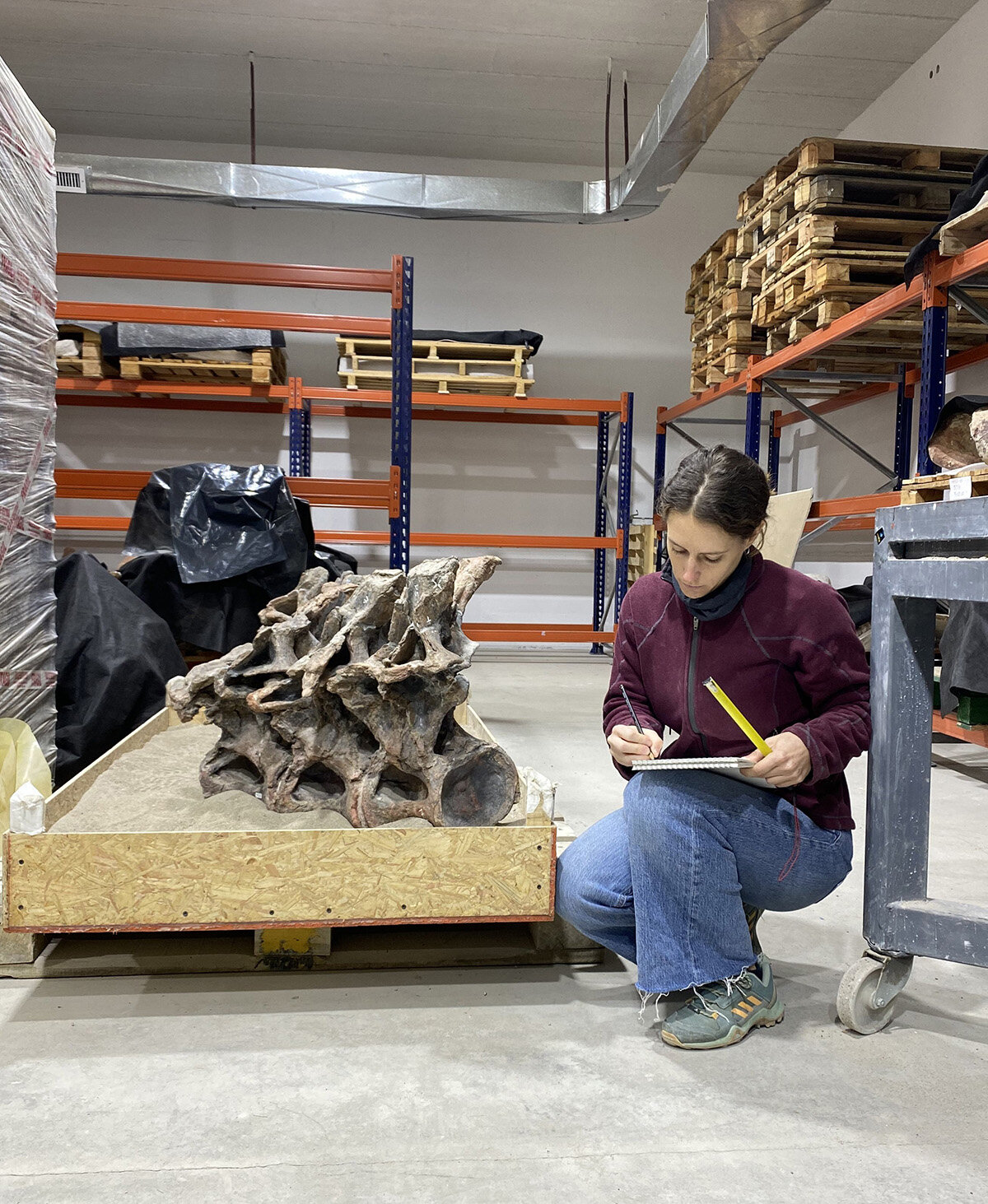 ��ѧ���ڰ���͢������һ���µĿ�������һ����������һ��������