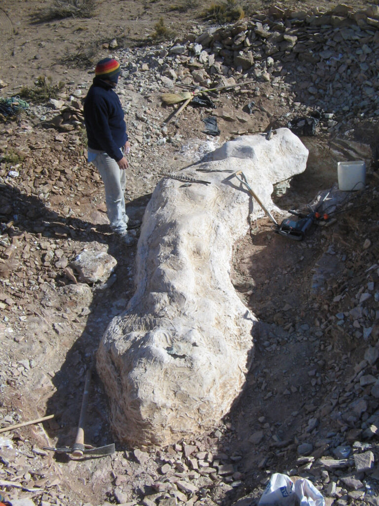 ��ѧ���ڰ���͢������һ���µĿ�������һ����������һ��������