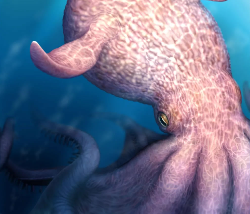 65Ӣ�߳�������ͳ���ŹŴ�����