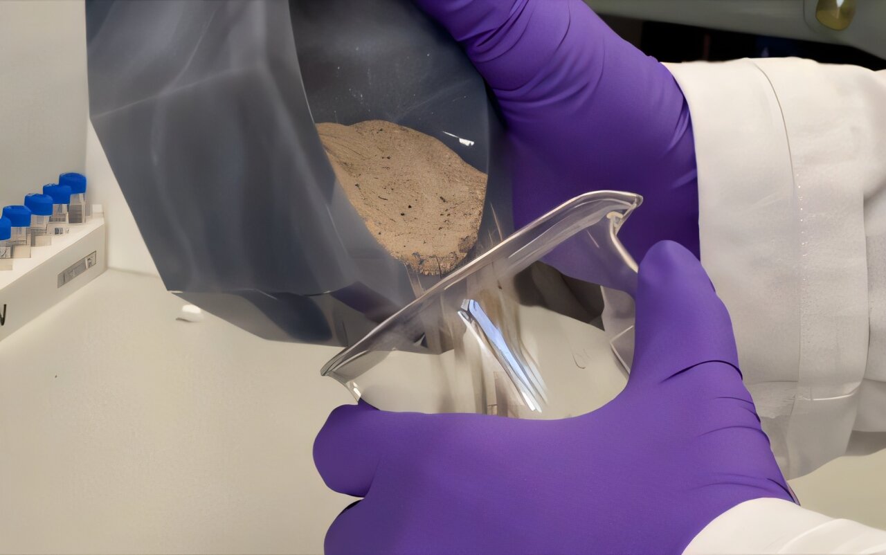 分子化石揭示了地球从古代全球变暖事件中恢复的秘密