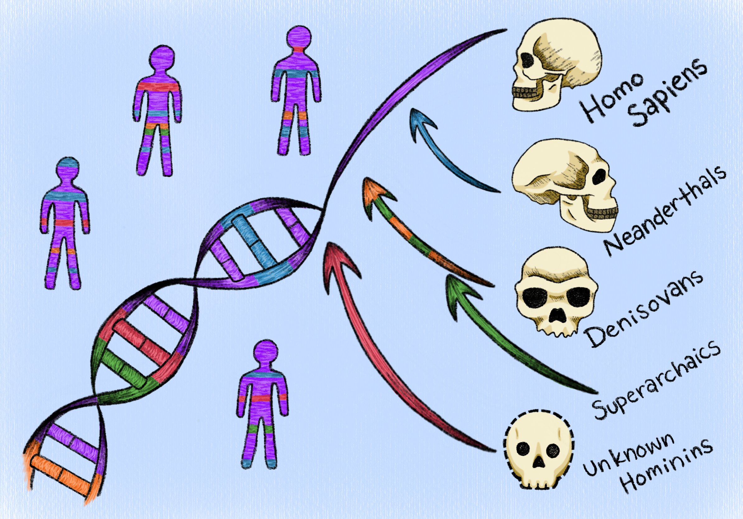 �¼�����λ�˴ӡ����顱���������Ŵ�����������DNA