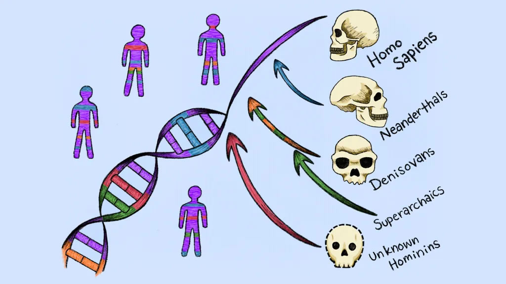 ��ѧ�ҷ����������µġ����顱��ϵ����Щ��ϵΪ�ִ������ṩ��DNA